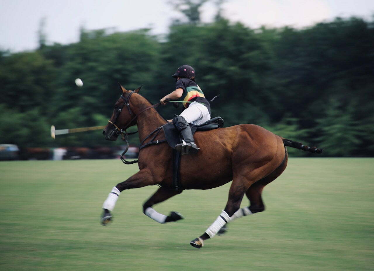 Player on a horse playing polo. 